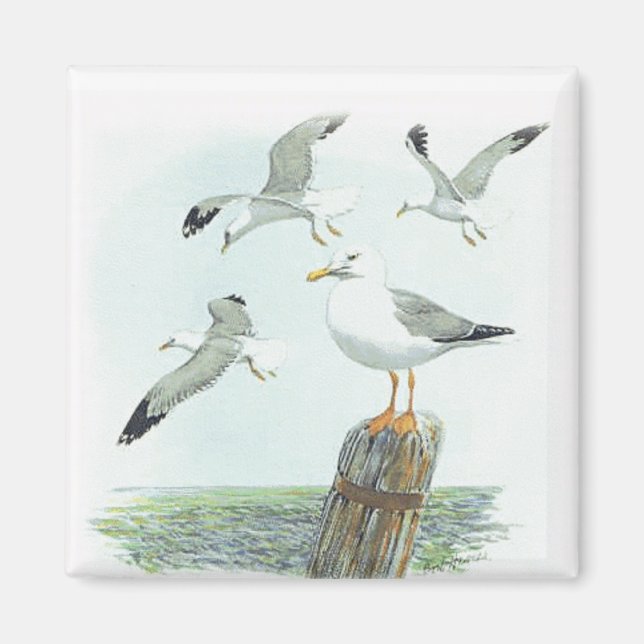 Herring Gull Magnet (Vorne)