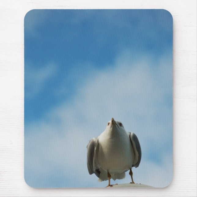 Herring Gull Mousepad (Vorne)