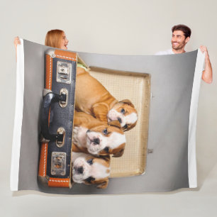 Herrliche Bulldoggen Welpen Hund Lover Fleecedecke