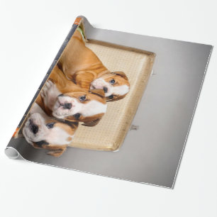 Herrliche Bulldoggen Welpen   Hund Lover Geschenkpapier