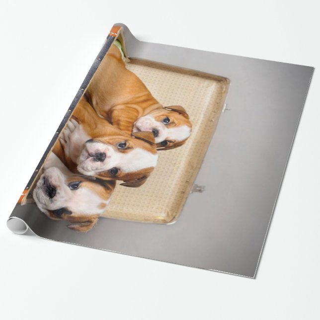Herrliche Bulldoggen Welpen | Hund Lover Geschenkpapier (Ungerollt)