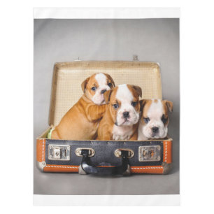 Herrliche Bulldoggen Welpen Hund Lover Tischdecke