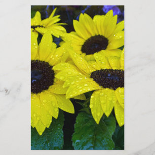 HERRLICHE GARTEN-SONNENBLUMEN BRIEFPAPIER