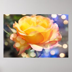 Herrliche gelbe Rosenrose Blume. Blumenfotografie Poster