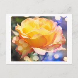 Herrliche gelbe Rosenrose Blume. Blumenfotografie. Postkarte