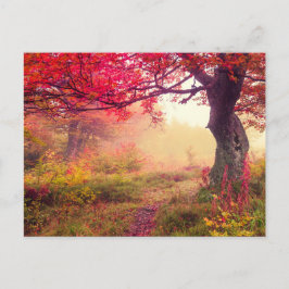 Herrliche Landschaft mit Herbstbäumen im Wald Postkarte