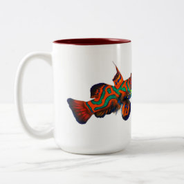 Herrliche Mandarinische Tasse, Synchiropus splendi Zweifarbige Tasse