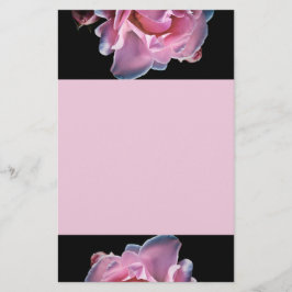 Herrliche rosa Rose auf Schwarzem Briefpapier