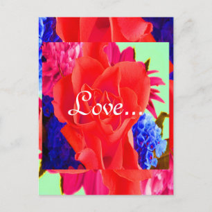 Herrliche Rote Rote Rose Valentine II Postkarte