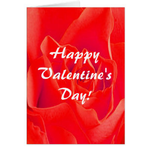 Herrliche Rote Rote Rose Valentine Schlicht III Ka