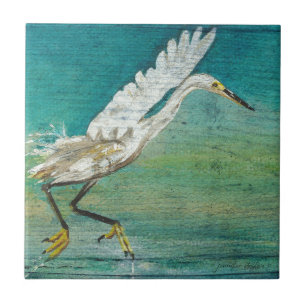 Herrlicher KüstenreiherShorebird auf Wasser Fliese