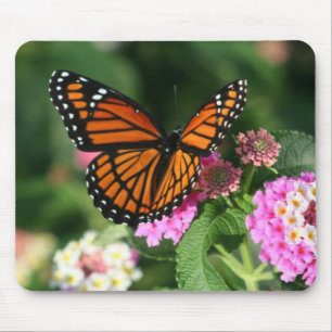 Herrlicher Monarchfalter-Entwurf Mousepad