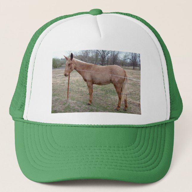 Herrlicher Mule! Truckerkappe (Vorderseite)