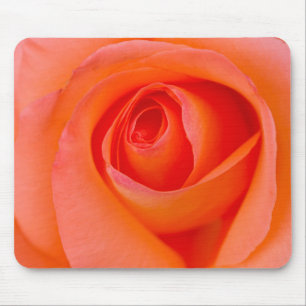 Herrlicher Orange Rose Bud Mousepad