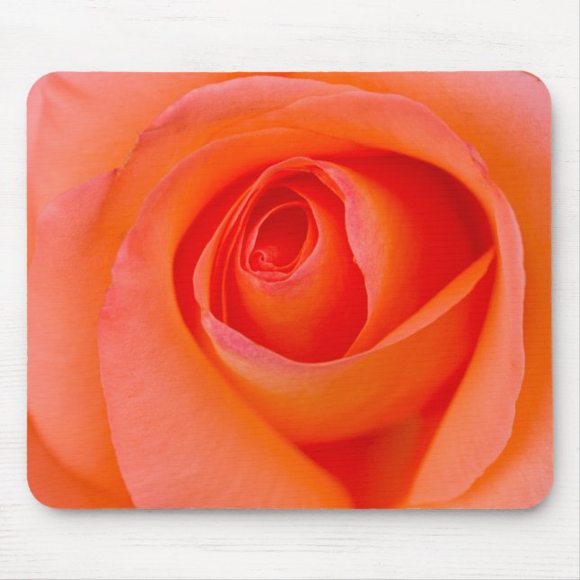 Herrlicher Orange Rose Bud Mousepad (Vorne)