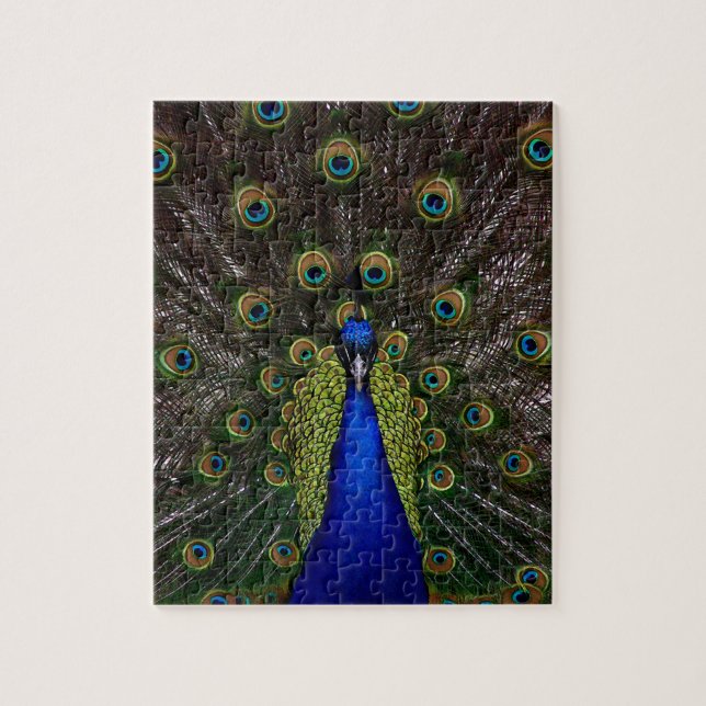 Herrlicher Pfau Puzzle (Vertikal)