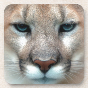 HERRLICHER PUMA GETRÄNKEUNTERSETZER