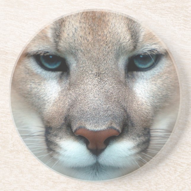 HERRLICHER PUMA GETRÄNKEUNTERSETZER (Vorne)