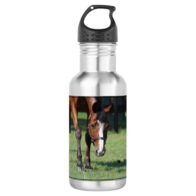 Herrlicher Quarterhorse Edelstahlflasche (Vorderseite)