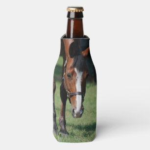 Herrlicher Quarterhorse Flaschenkühler