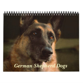 Herrlicher Schäferhund-Hundekalender Kalender
