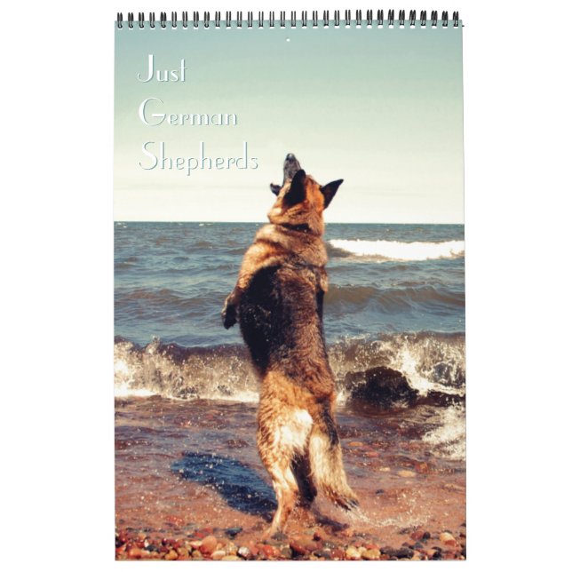 Herrlicher Schäferhund-Kalender Kalender (Titelbild)