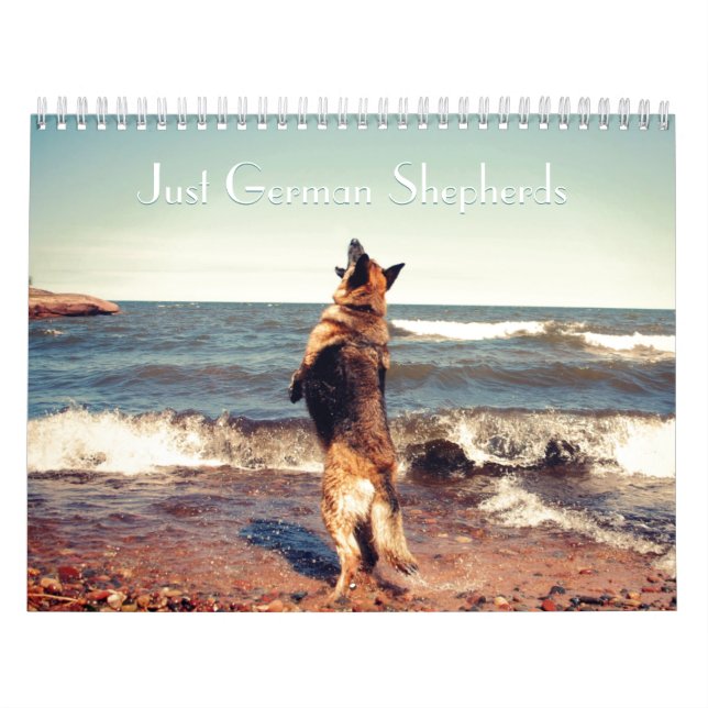 Herrlicher Schäferhund-Kalender Kalender (Titelbild)