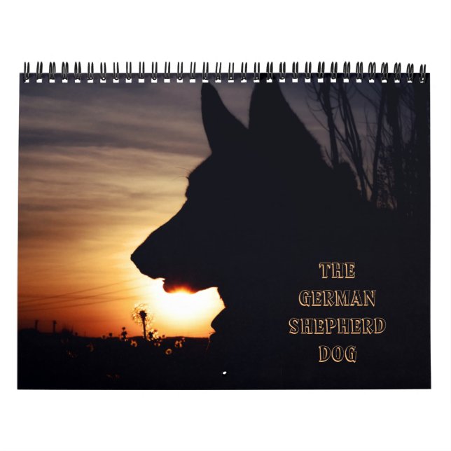 Herrlicher Schäferhund-Kalender Kalender (Titelbild)