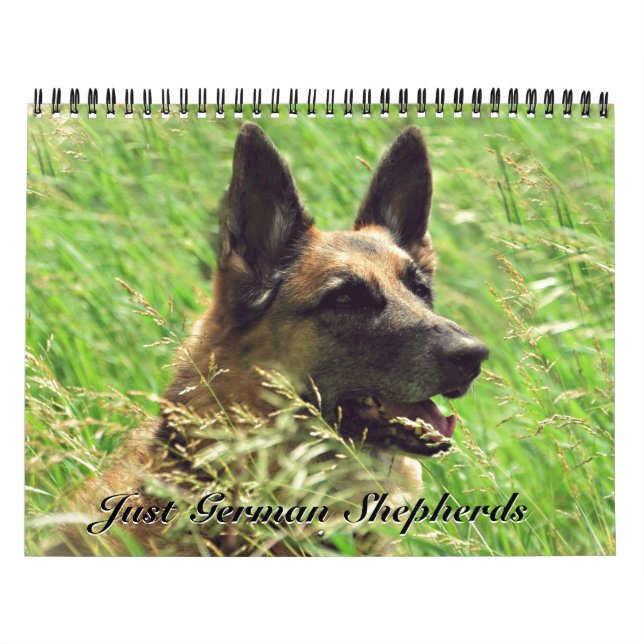 Herrlicher Schäferhund-Kalender Kalender (Titelbild)