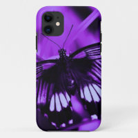 Herrlicher Schmetterling