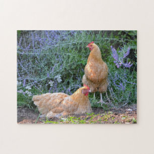 Herrliches Huhn-Puzzlespiel Puzzle