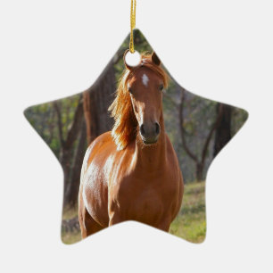 Herrliches Kastanien-Brown-Pferd auf dem Gebiet Keramikornament