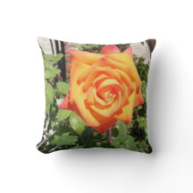Herrliches Kissen mit orange Rose von der