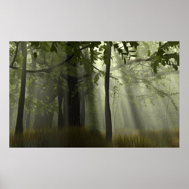 Herrlichkeit der Banyans Poster (Vorne)