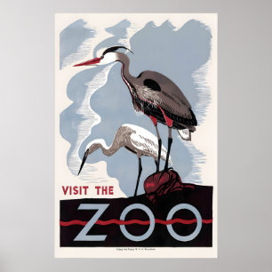 Herron Amerikanischer Rohrdommel Zoo Vogel Werbung Poster