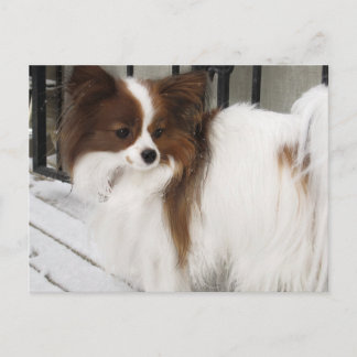 Hershey Kiss Hero Kennel Merchandise Postkarte