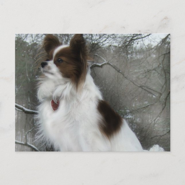 Hershey Kiss Hero Kennel Postcard Postkarte (Vorderseite)