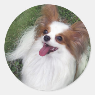 Hershey Kiss Hero Madi Merchandise Runder Aufkleber