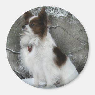 Hershey Kuss-Held-Hundehütten-Waren Magnet