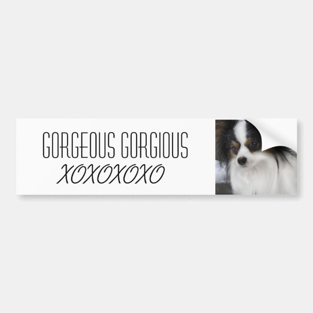 Hershey Kuss-Held Merch Autoaufkleber (Vorne)