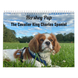 Hershey Pup Cavalier King Charles Spaniel Calendar Kalender