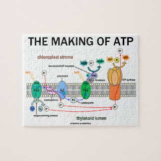 Herstellung der fotosynthetischen ATP-Einstellung Puzzle