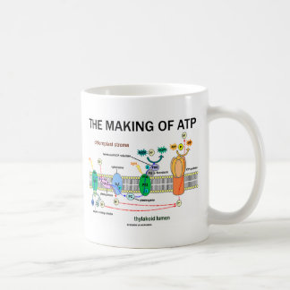 Herstellung von ATP (lichtabhängige Fotosynthese) Kaffeetasse