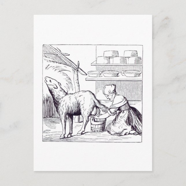 Herstellung von Käse in der Schweiz nach einem Wol Postkarte (Vorderseite)