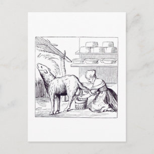 Herstellung von Käse in der Schweiz nach einem Wol Postkarte
