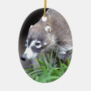 Herumstreichender Coati Keramikornament