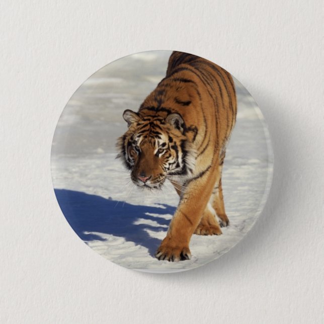 Herumstreichender Tiger Button (Vorderseite)