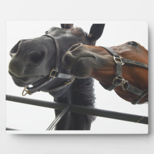 Herumtoben Fotoplatte