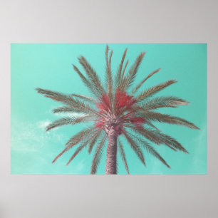 Herunterladbares Foto einer blauen Himmelspalme Poster