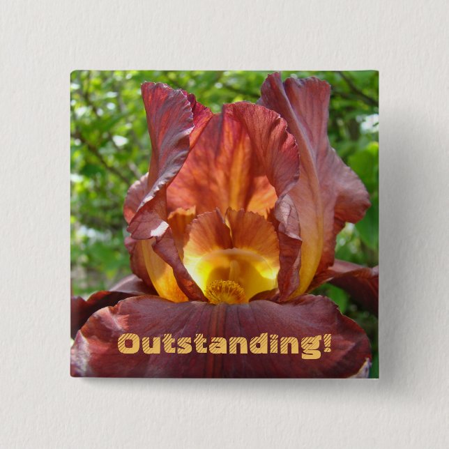 Hervorragend! Schaltfläche Iris Blume Lehrer Button (Vorderseite)